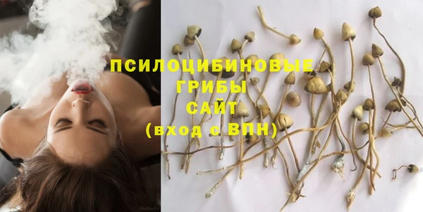 МДПВ Дмитровск
