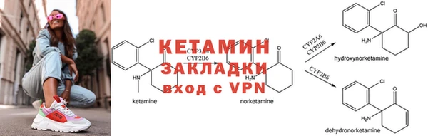 стафф Дмитриев