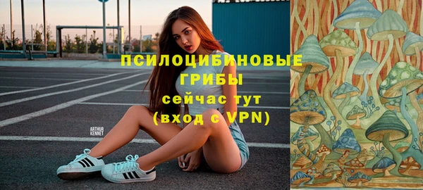 ешки Елизово