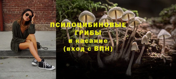 стафф Дмитриев