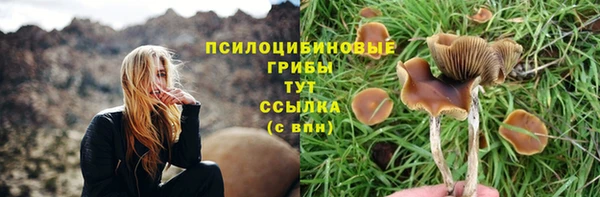 метамфетамин Ельня