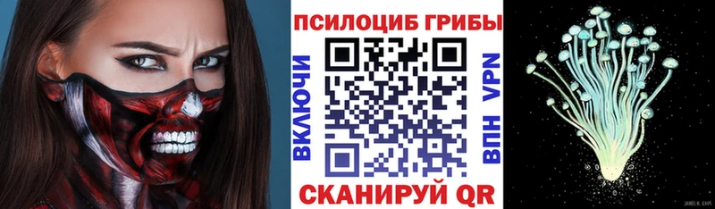 Галлюциногенные грибы мицелий  Северская 